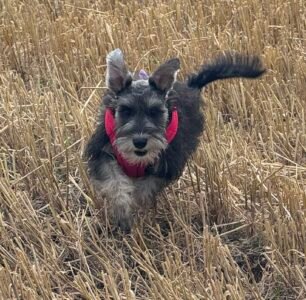 Esme having fun Esme