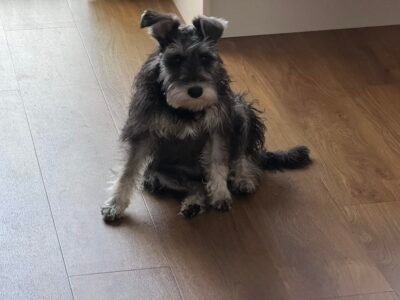 Esme Chilling Esme