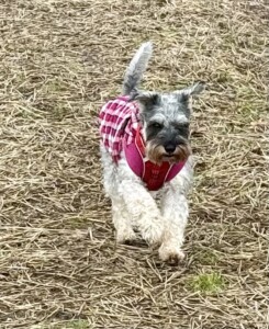 Poppy 2018-2024 Poppy