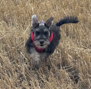 Esme having fun Esme