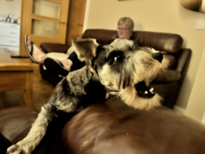 What A Set Of Teeth Esme